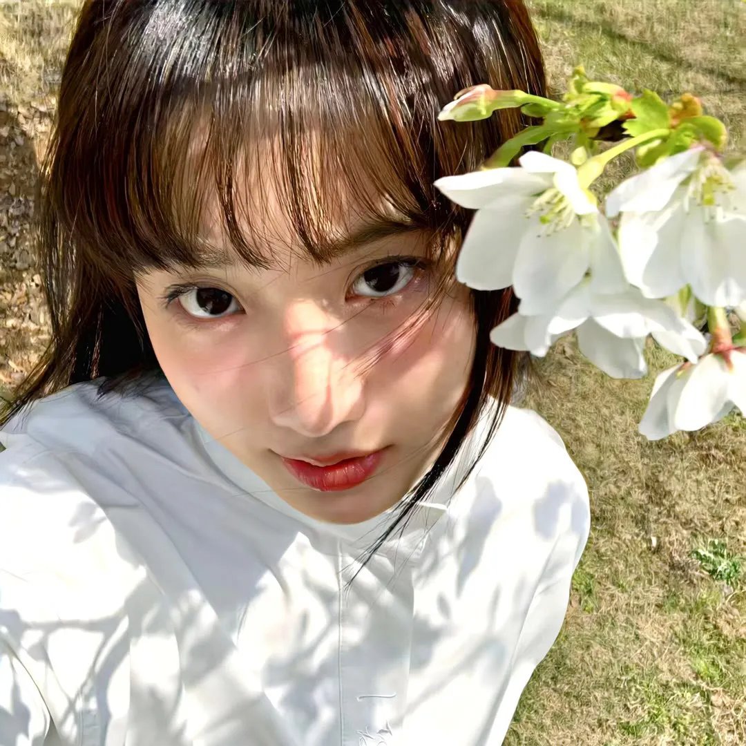 陆小姐又发疯了